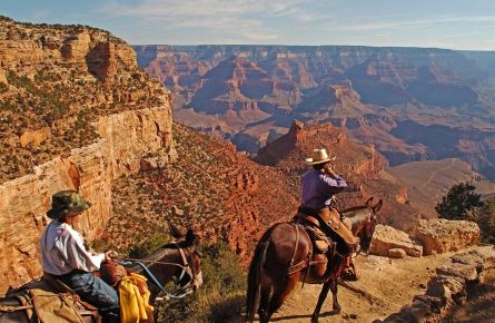 Plan Your Trip Grand Canyon National Park Lodges