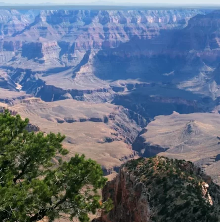 3 Ideal Days for Families in Grand Canyon National Park